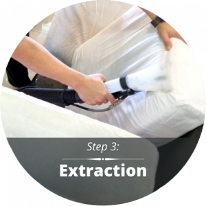 Extraction-steam cleaning