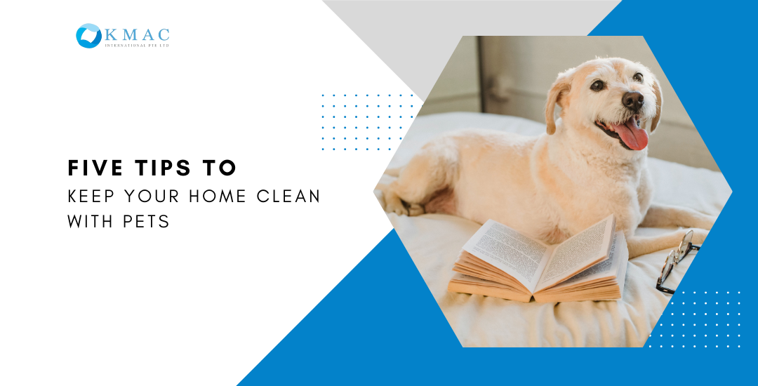 Five tips to keep your home clean with pets