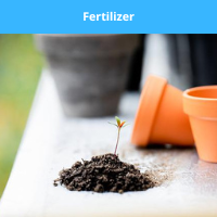 Fertilizer-Unexpected uses for coffee for home cleaning and care