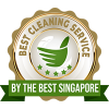Best Cleaning Service by the Best Singapore
